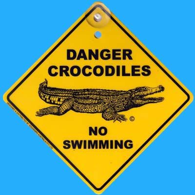 Large Roadsign Crocodile